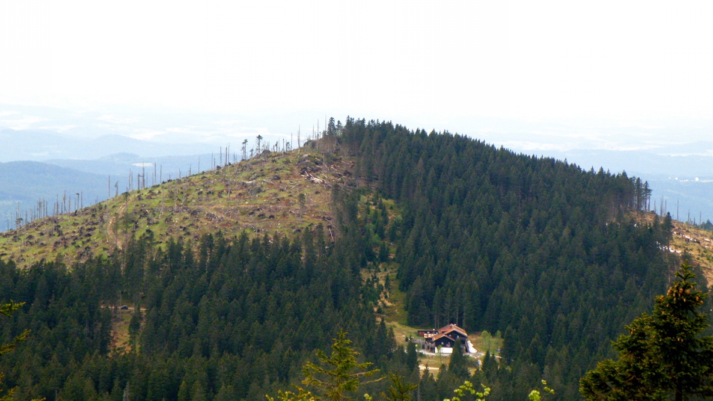 Rückblick zum Kleinen Arber. Die Chamer Hütte im Vordergrund hat bis 14. Juni Betriebsurlaub