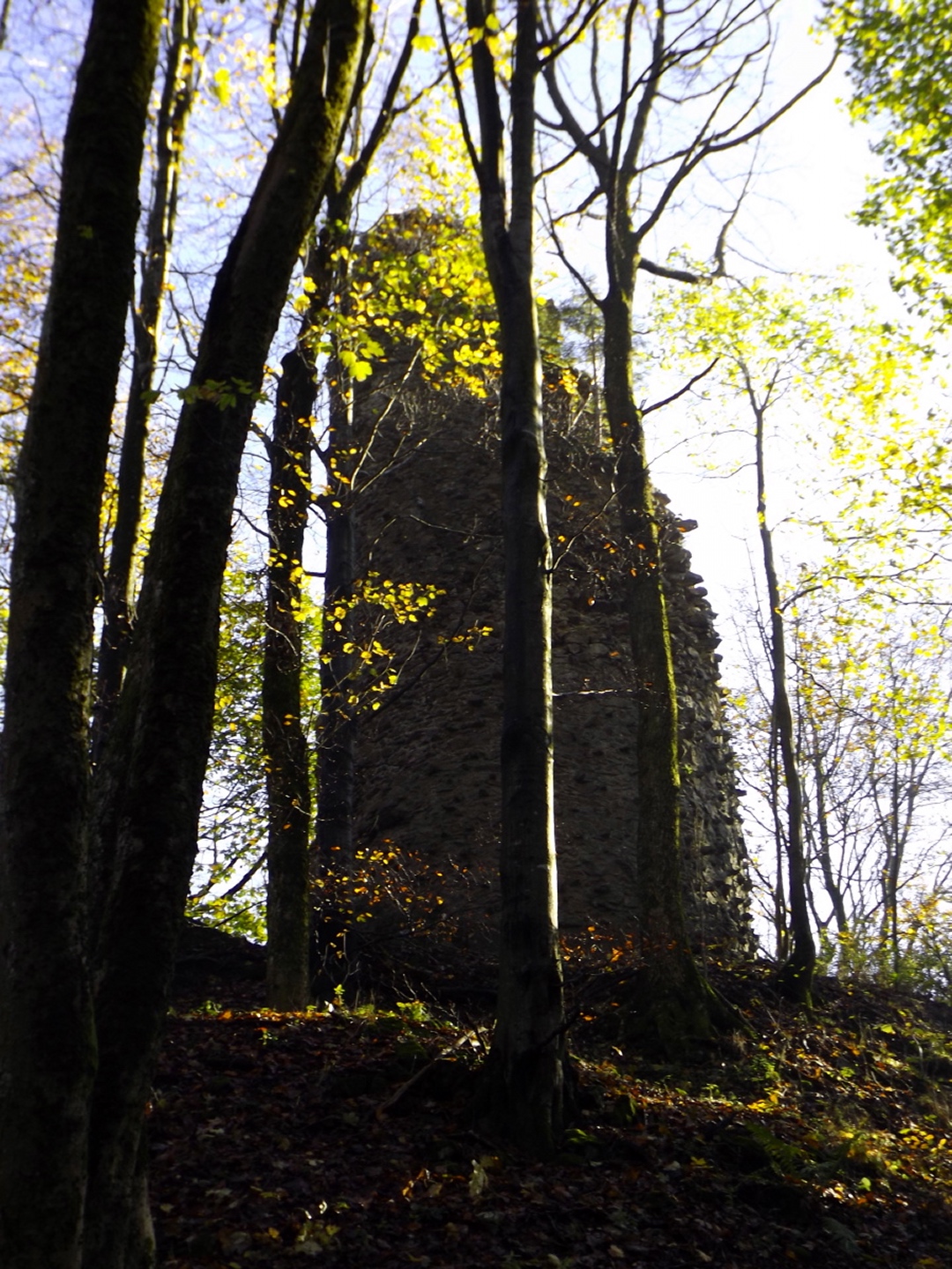 Ruine Reichenstein