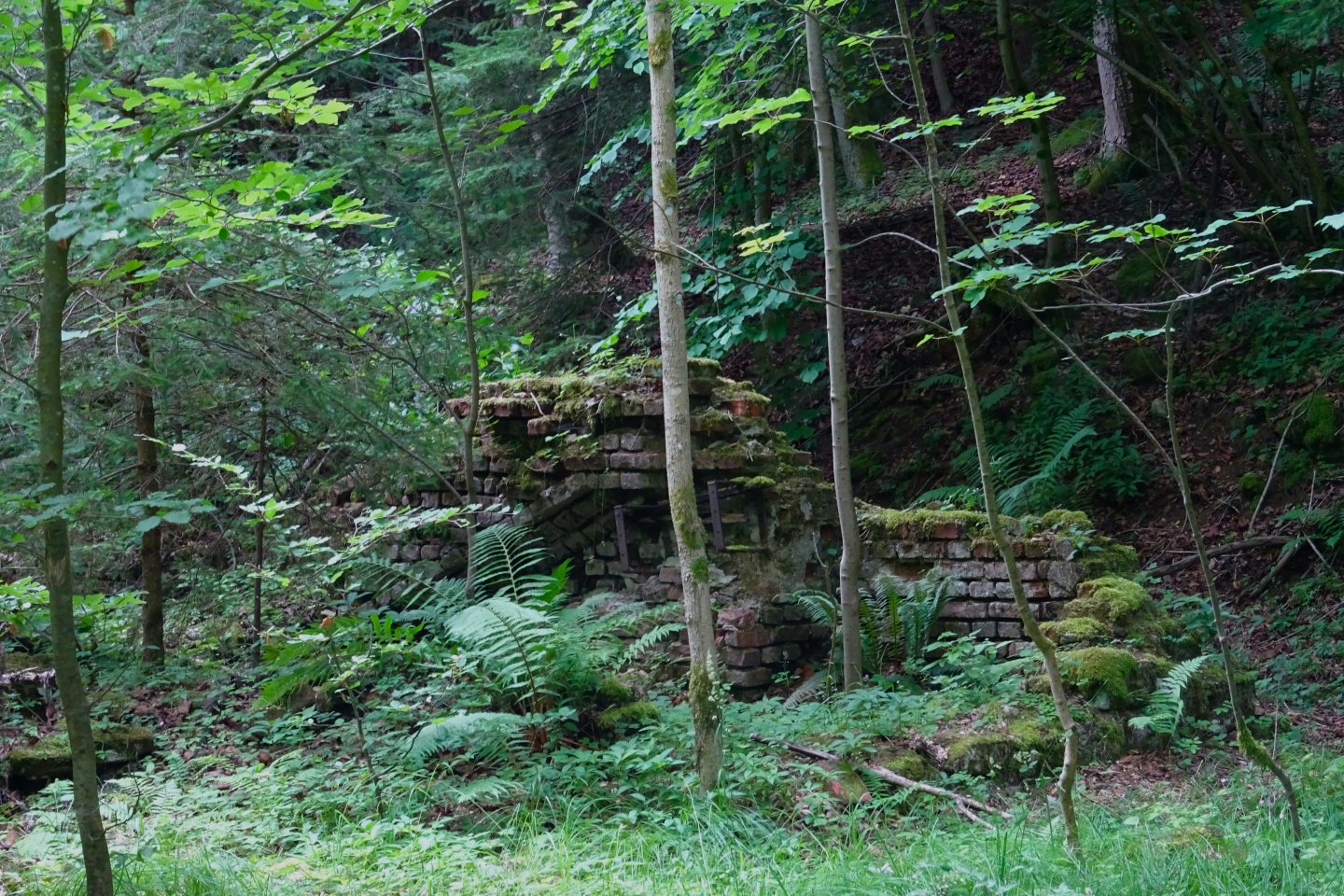 Erste Überreste des ehemaligen Jagdschlosses