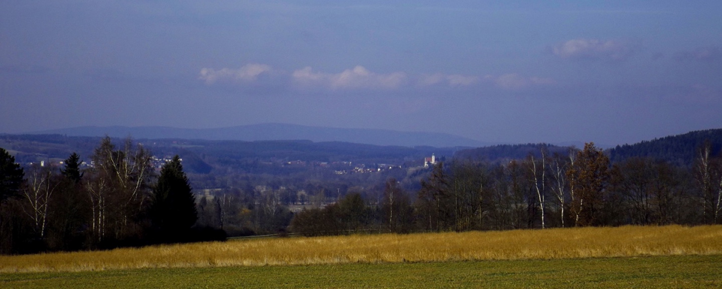 Hinter Neustadt mit der Felixkirche ist der Steinwaldrücken erkennbar