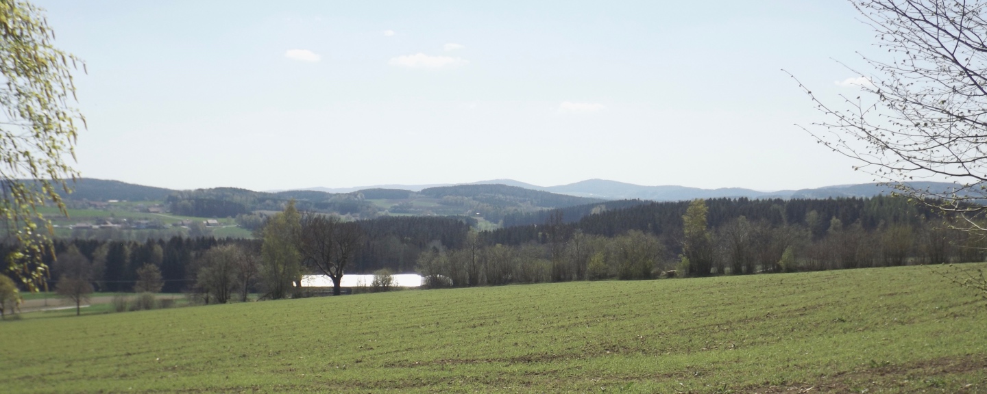 Panorama mit Eibenstein