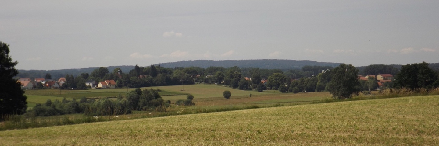 Der Hirschauer Kalvarienberg (im Vordergrund!)