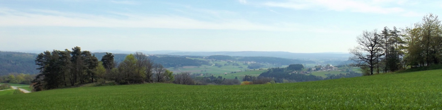Panorama Süd mit Grafenwinn