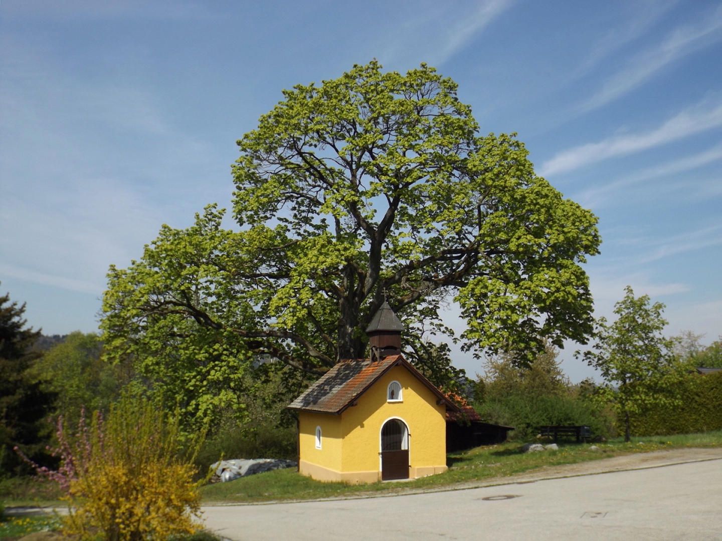 Dorflinde Eckartsreuth mit Kapelle
