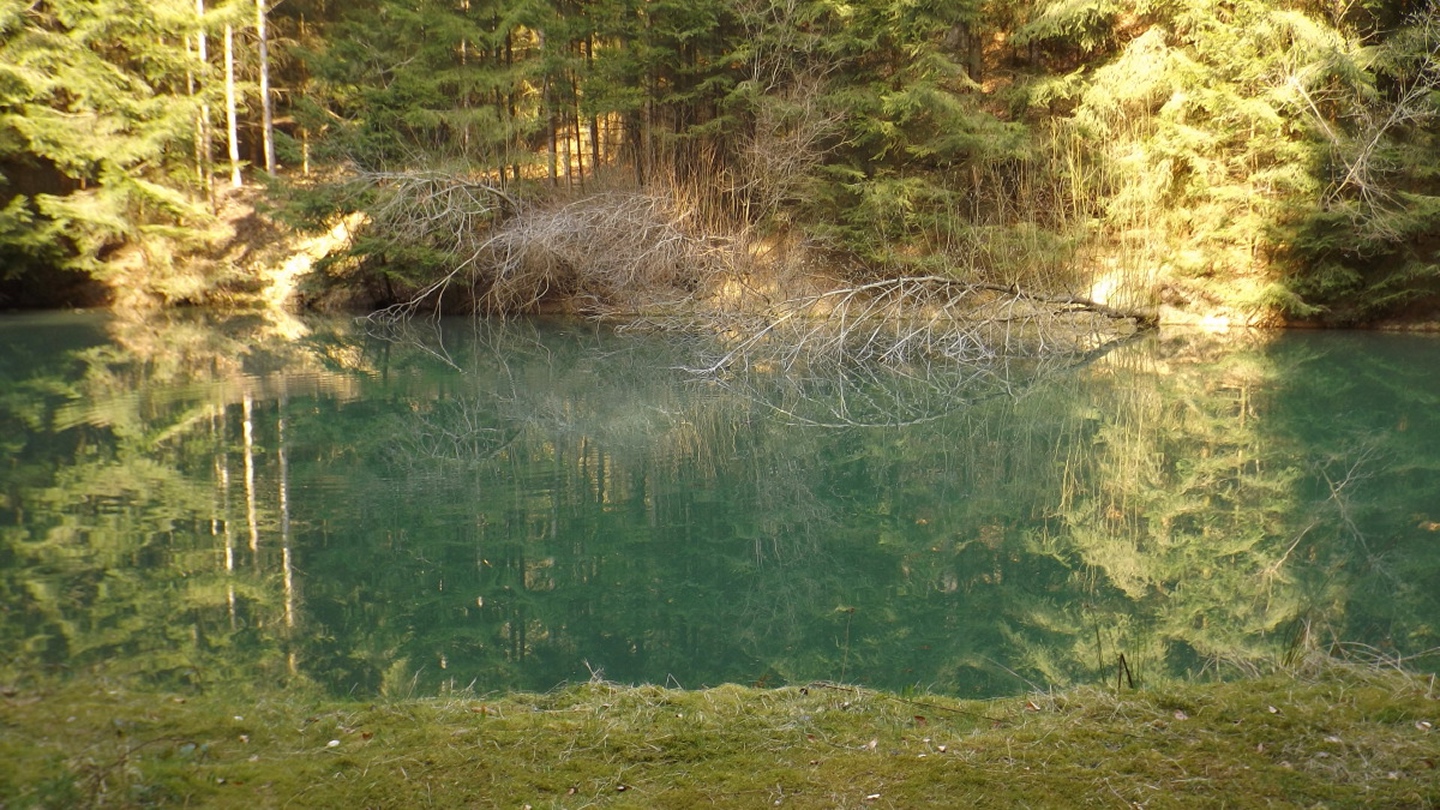 Die Grüne Lagune vom Finsterbachtal