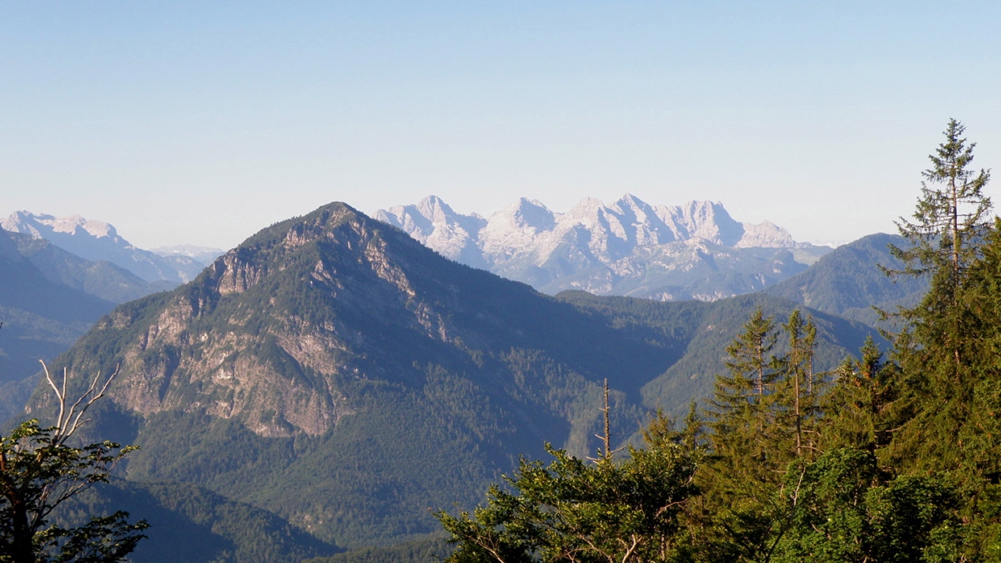 Ristfeuchthorn, im Hintergrund die Loferer Steinberge