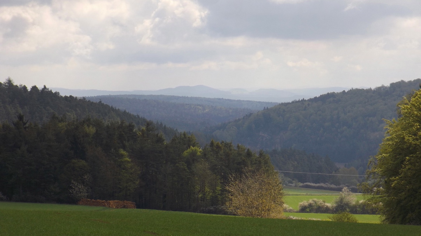 Im Hintergrund zeigt sich der Jugenberg im Vorwald