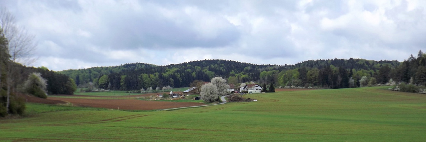 Kleinbissendorf