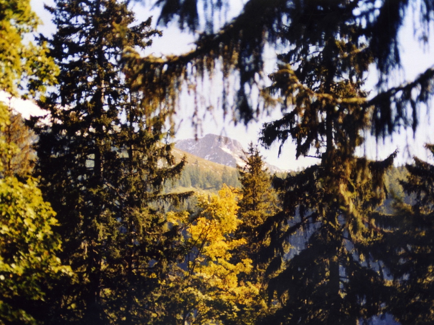 Durchblick zum Kahlersberg