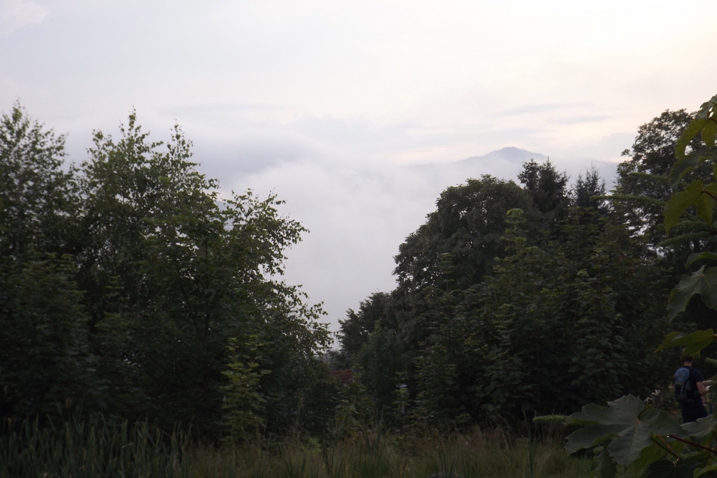 Der Große Rachel schaut schüchtern aus dem Nebel