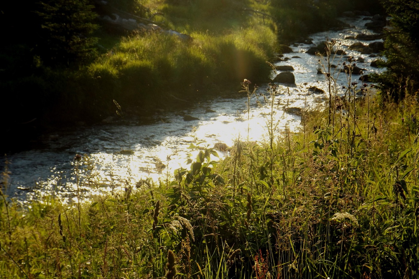 Modravský potok in der Abendsonne