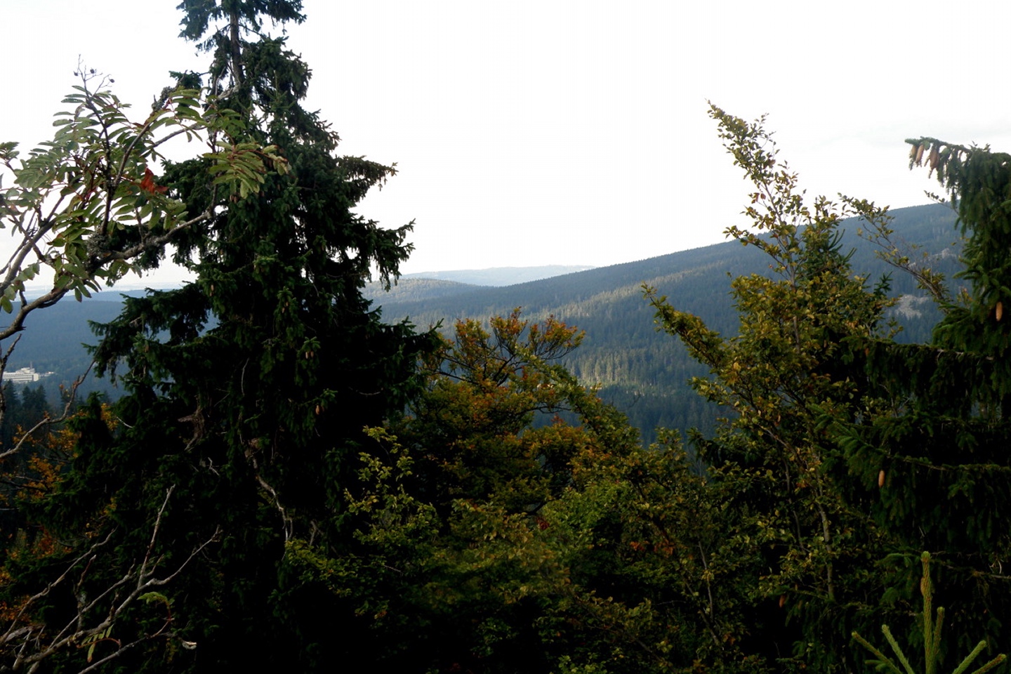 Panorama Nord vom Weißmainfelsen
