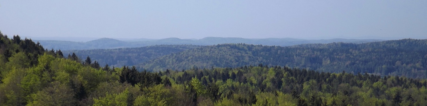 Panorama West