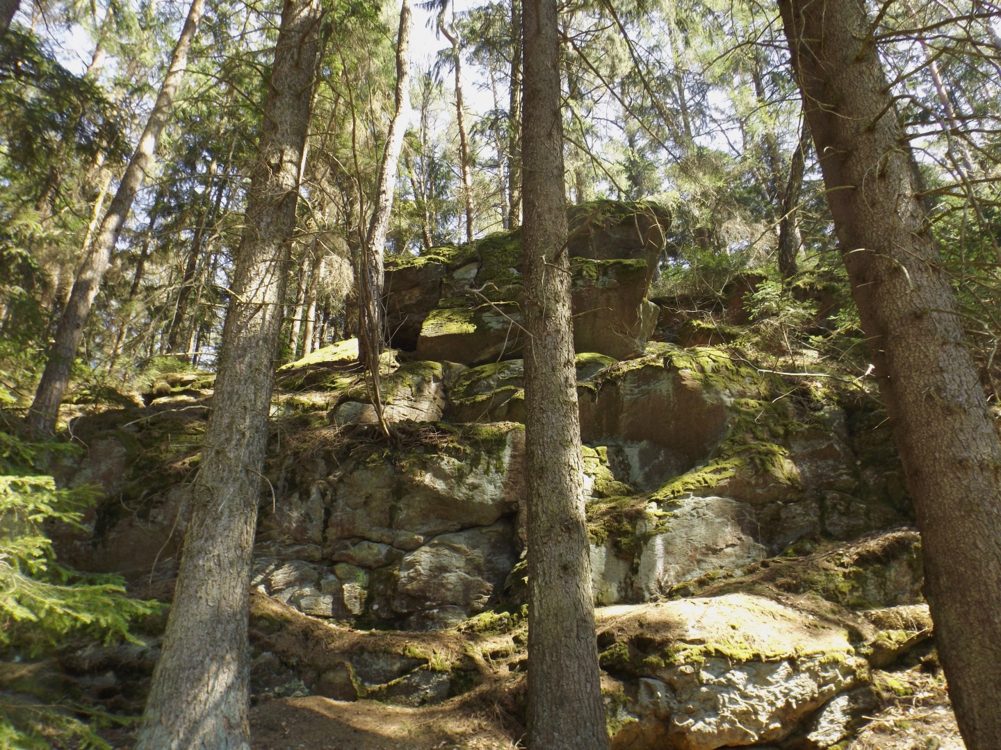 Ohne Felsen geht es im Oberpfälzer Wald nicht
