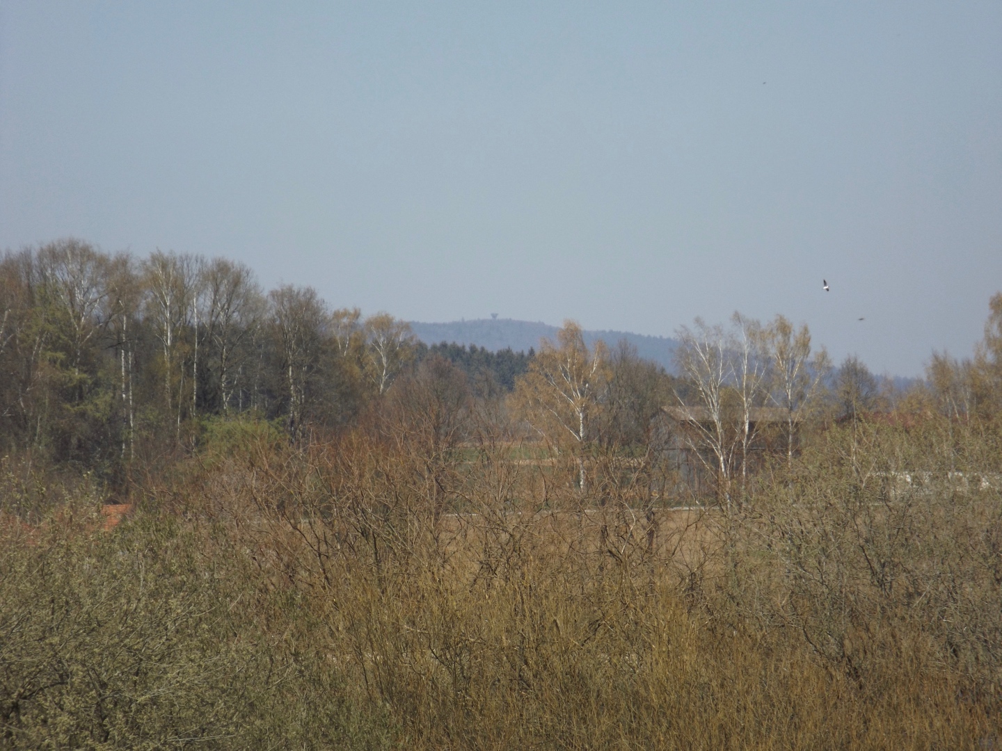 Auch der Böhmerwaldturm ist in Sichtweite