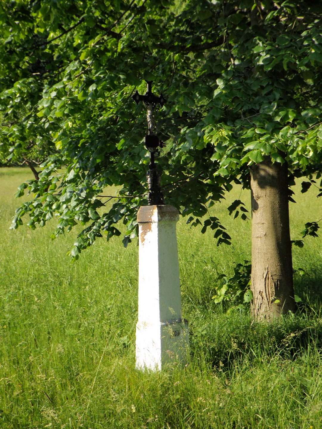 Kreuz unter dem Baum