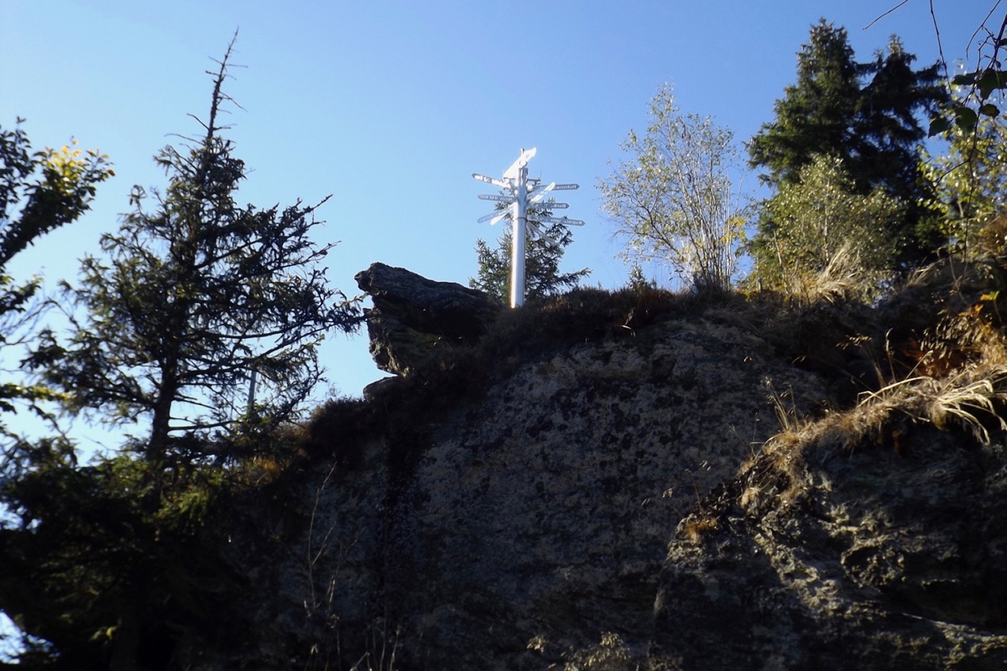 Wegweiserbaum ein paar Meter neben dem Gipfelkreuz