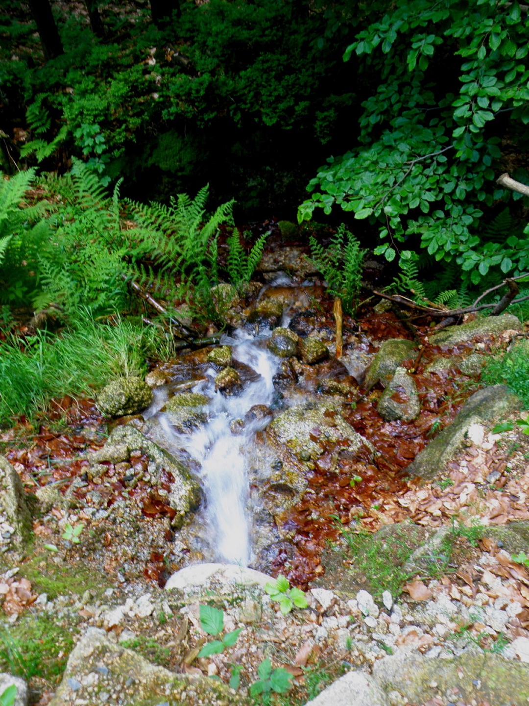 Mini-Wasserfall