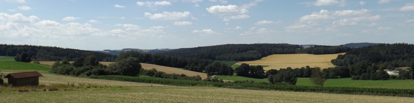 Panorama Richtung Pfreimdtal