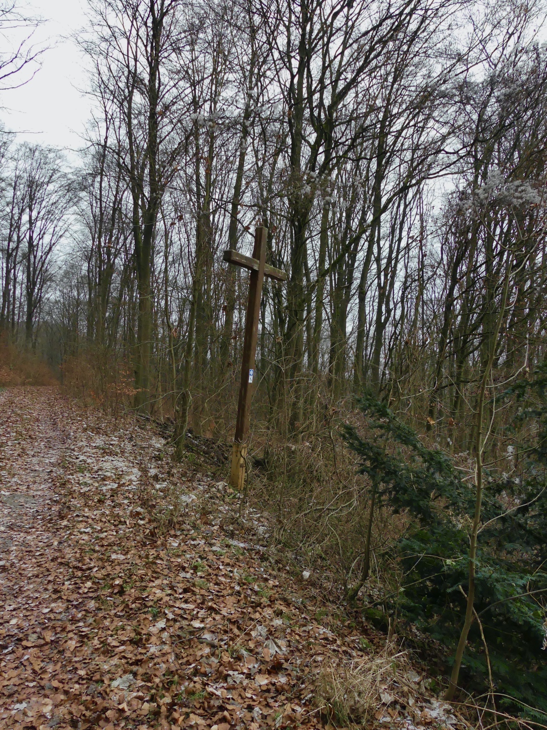 Wittelsbacherkreuz